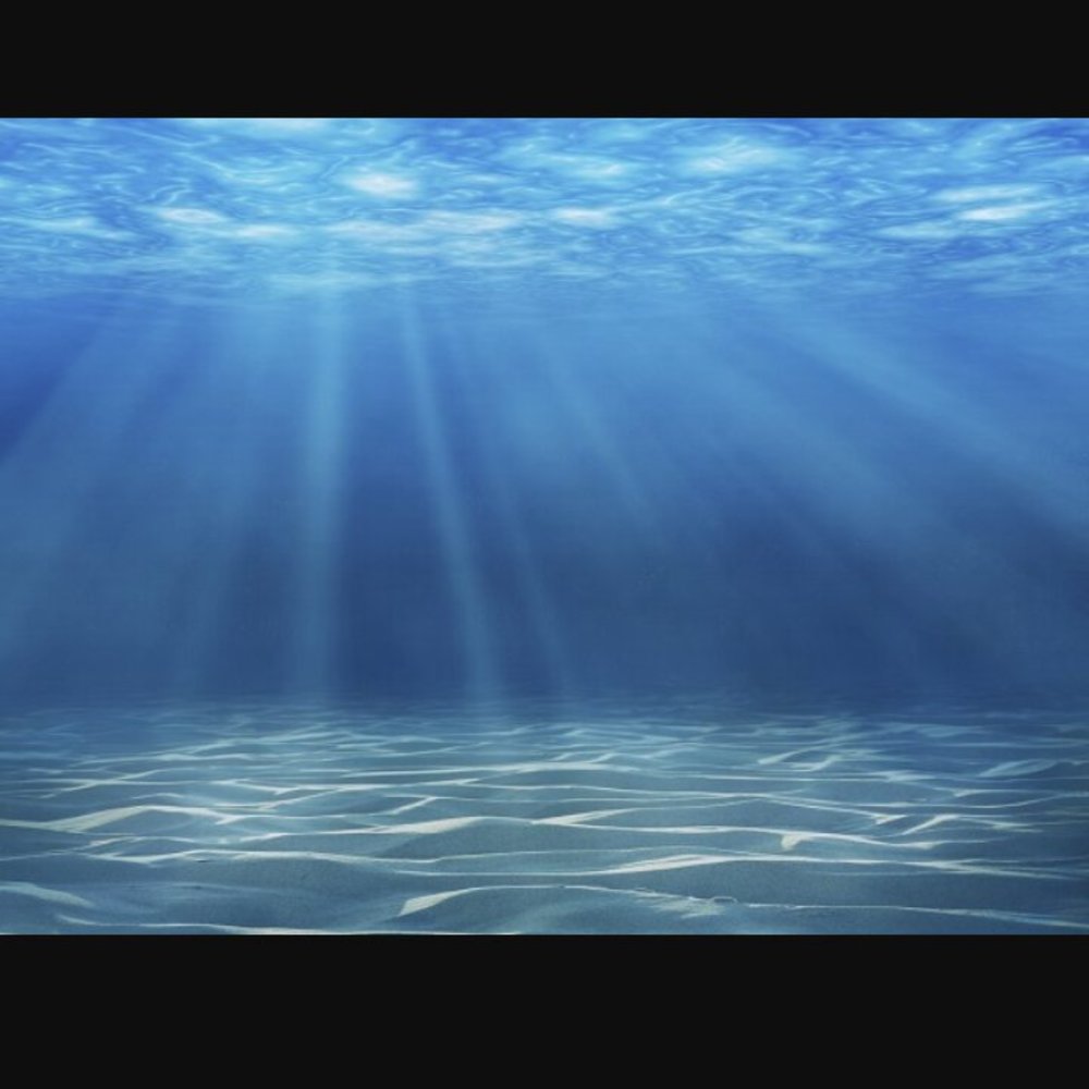 Meet your Posher, Martha